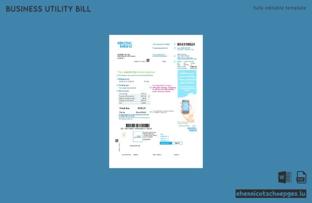Beispiel einer Stromrechnung für Unternehmen in Irland (Electric Ireland)